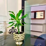 Madame Sofia Exclusive Collection Spanish Steps - Apartment-suites 아파트 *