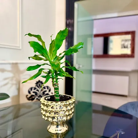 Madame Sofia Exclusive Collection Spanish Steps - Apartment-suites 公寓 *